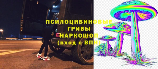 дмт Балахна